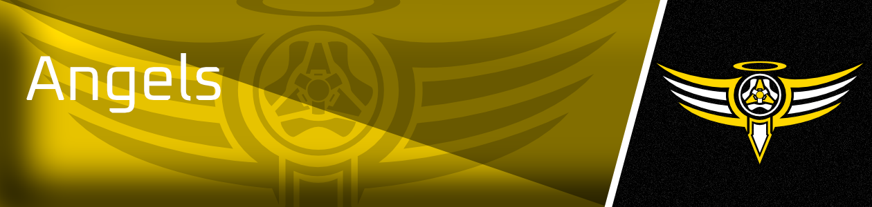 AucklandBanner