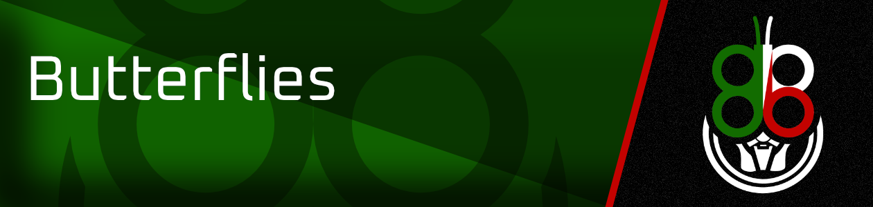 BudapestBanner