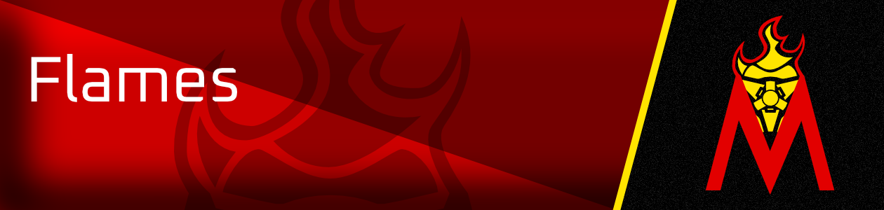MadridBanner
